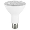 Airam PAR30 LED Plant Lamp E27 3500K 800lm 9,5W -Günstiges Leuchten Geschäft airam par30 led plant lamp e27 3500k 800lm 95w 0