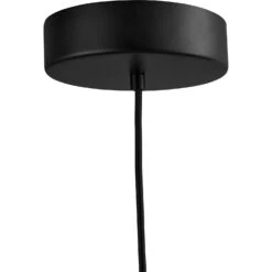 AYTM Grasil Hängelampe, Schwarz -Günstiges Leuchten Geschäft aytm grasil pendant black 4