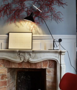 Mantis BS3 Tischlampe -Günstiges Leuchten Geschäft bernard schottlander mantis bs3 tischlampe 4