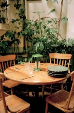 Flos Gustave Residential Tischlampe Tragbar 2700K, Grün Lackiert -Günstiges Leuchten Geschäft flos gustave residential 39