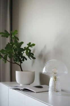 Globen Lighting Fungo 22 Tischlampe Special Edition, Transparent -Günstiges Leuchten Geschäft globen lighting fungo tischlampe special edition transparent 11