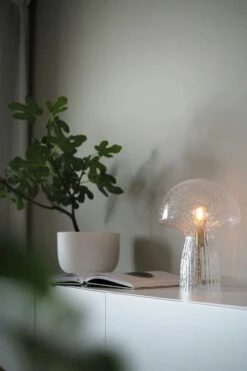 Globen Lighting Fungo 22 Tischlampe Special Edition, Transparent -Günstiges Leuchten Geschäft globen lighting fungo tischlampe special edition transparent 12