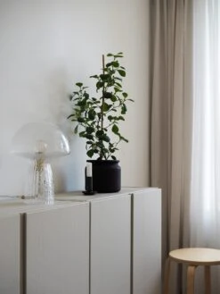 Globen Lighting Fungo 22 Tischlampe Special Edition, Transparent -Günstiges Leuchten Geschäft globen lighting fungo tischlampe special edition transparent 13