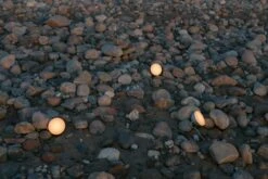 New Works Sphere Adventure Light Tischlampe Tragbar, Dunkelbronzefarben -Günstiges Leuchten Geschäft new works sphere adventure light 5