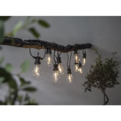 Star Trading Circus Lichterkette, 10L -Günstiges Leuchten Geschäft star trading circus lichterkette 7