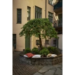 Star Trading Golden 180 Lichterkette -Günstiges Leuchten Geschäft star trading golden warm white 3